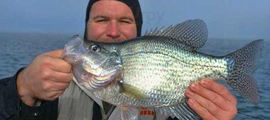 Blacks Camp And Restaurant