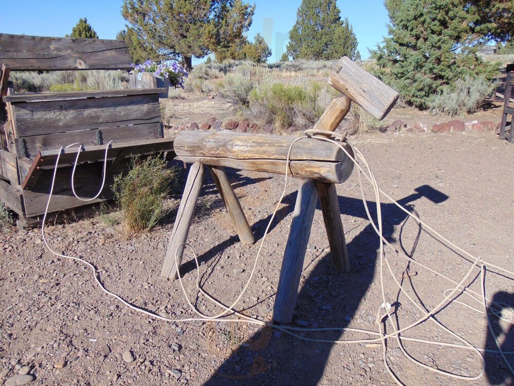 Cowboy Dinner Tree Restaurant