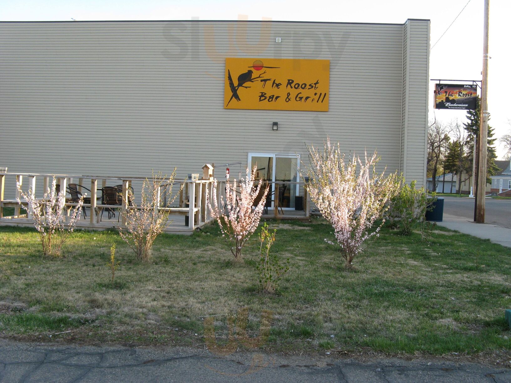 The Roost Bar And Grill