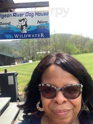 Pigeon River Dog House