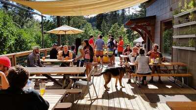 Wet Planet Cafe And Grill