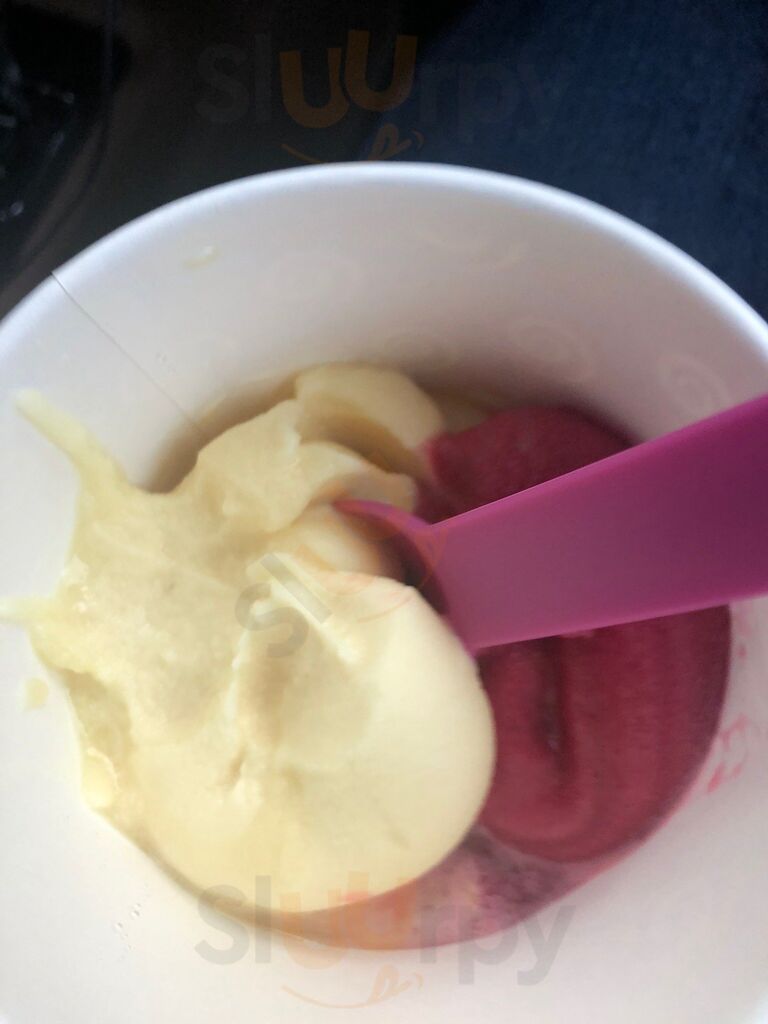 Dunedin Frozen Yogurt Factory