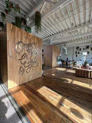 Onyx Coffee Lab Rogers