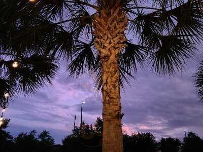 Don Julio Mexican Kitchen & Tequila Bar