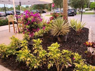 Don Julio Mexican Kitchen & Tequila Bar