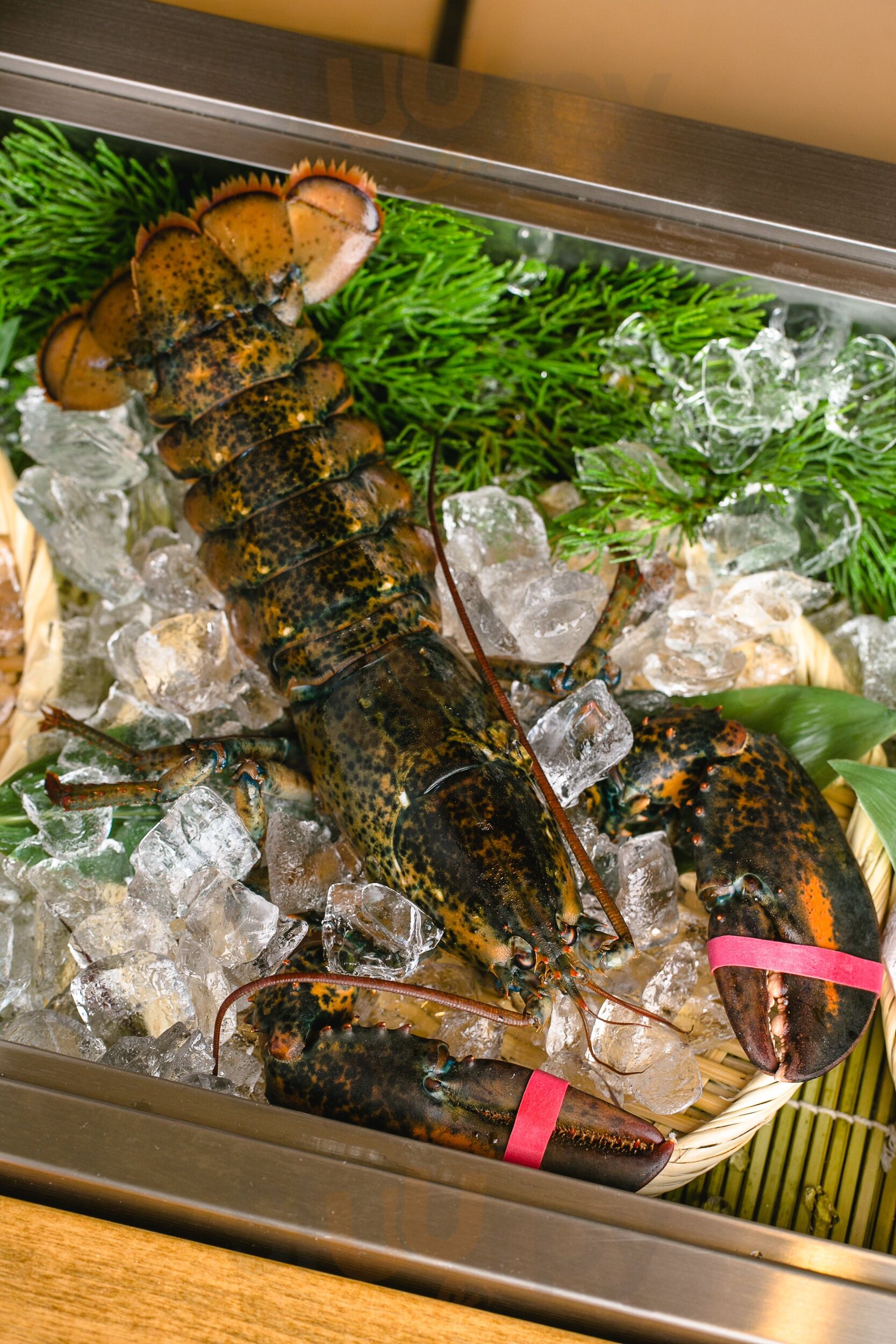 Chirori - Robata & Sake Pairing