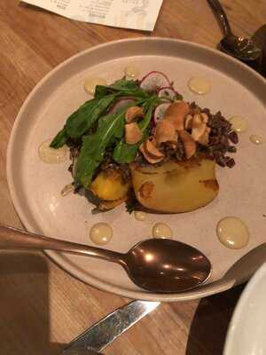 The Deer And The Dove