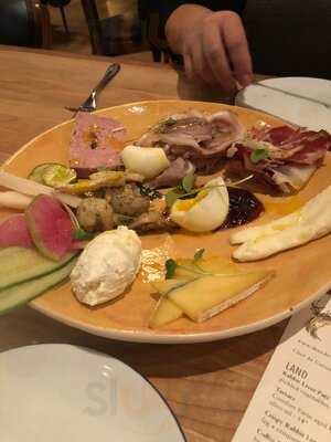 The Deer And The Dove