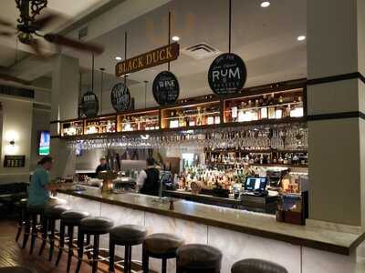 Black Duck Bar