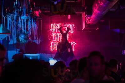 The Dirty Rabbit Wynwood