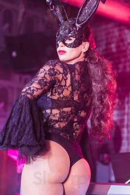 The Dirty Rabbit Wynwood