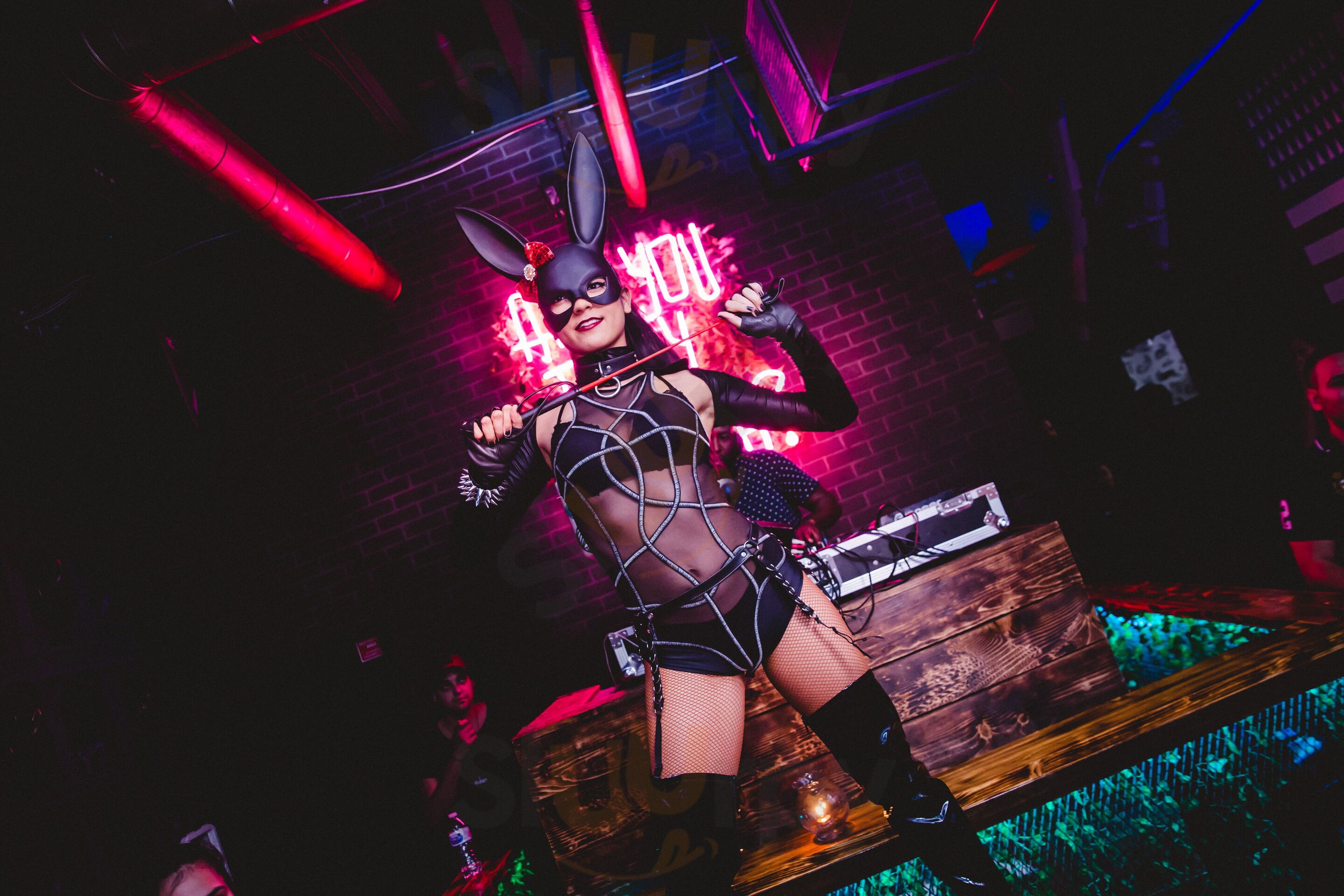 The Dirty Rabbit Wynwood