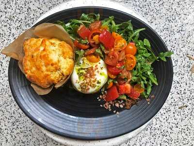 The Alice Collective