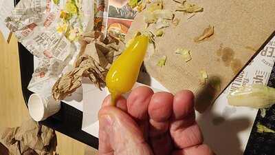 The Habit Burger Grill