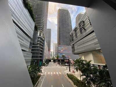 Pasion Del Cielo Coffee