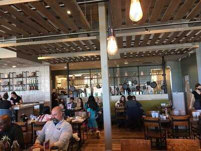 First Watch Daytime Cafe