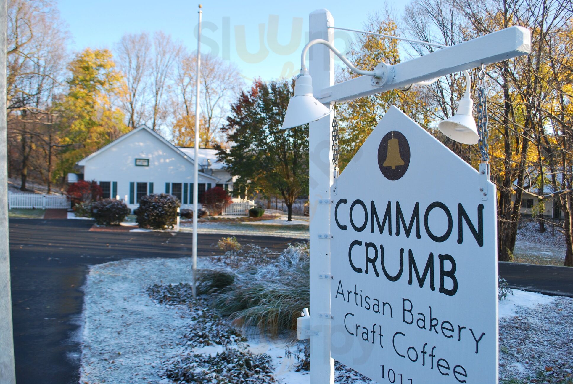 Common Crumb