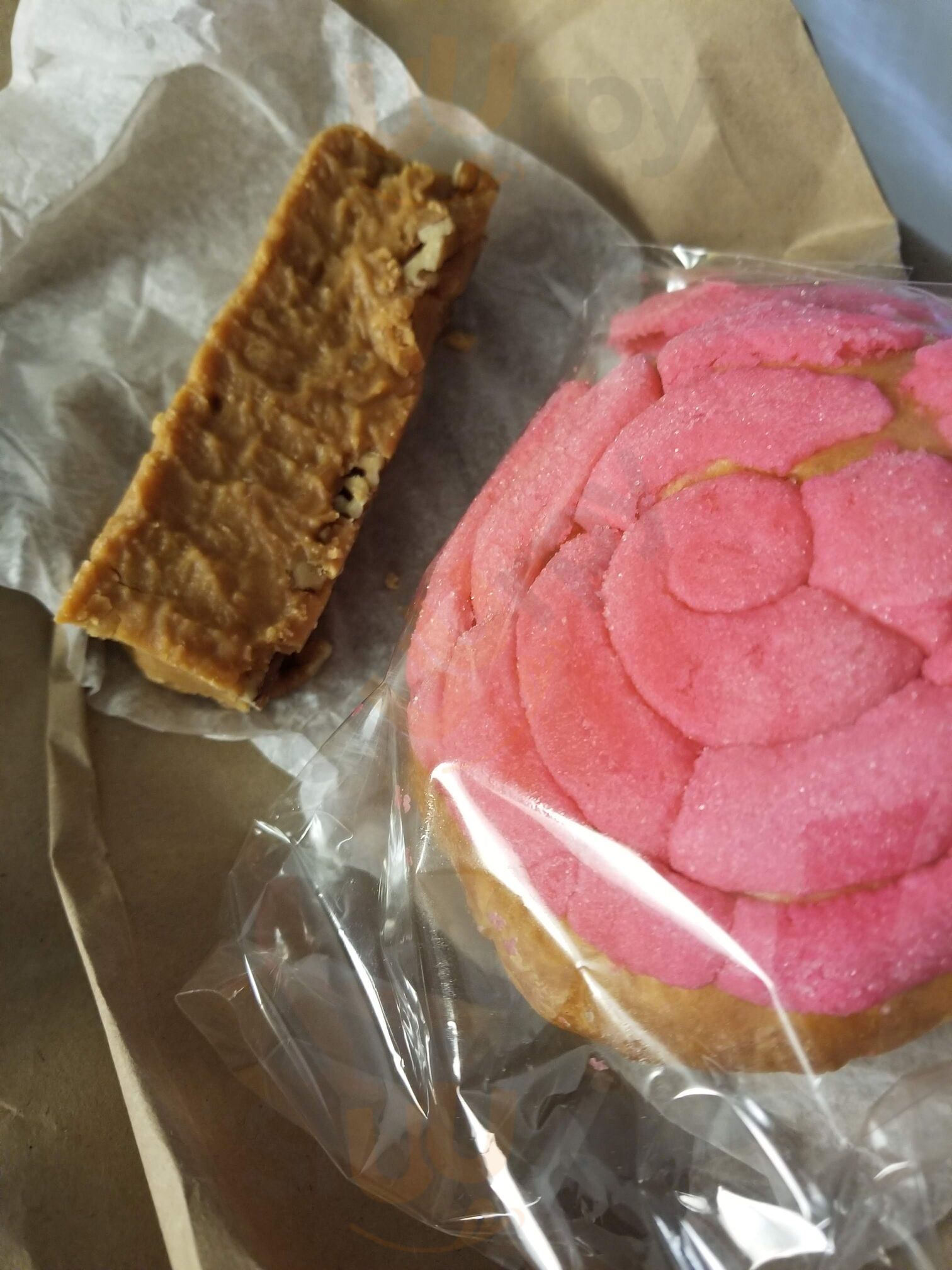 Mi Familia De Mi Tierra