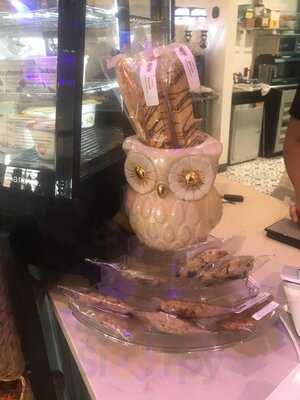 Java Owl Coffee House