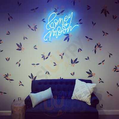 Honey Moon Burkhardt