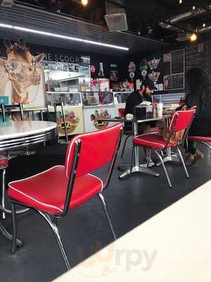 The Neighborhood Scoop