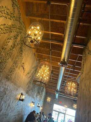 Bad Owl Coffee Roasters