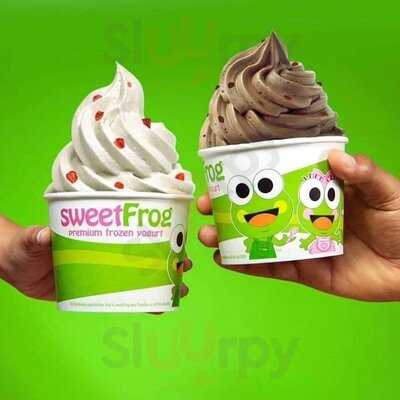 Sweetfrog Premium Frozen Yogurt - W 43rd St