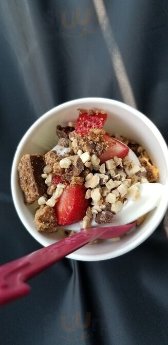 Yogurtland