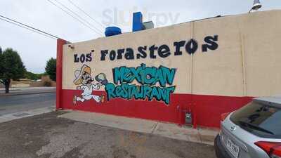 Foto 58117031