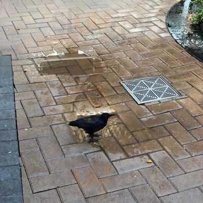 It's All Greek To Me