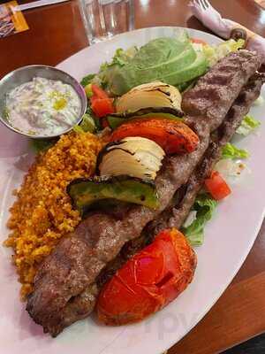 Panini Kabob Grill