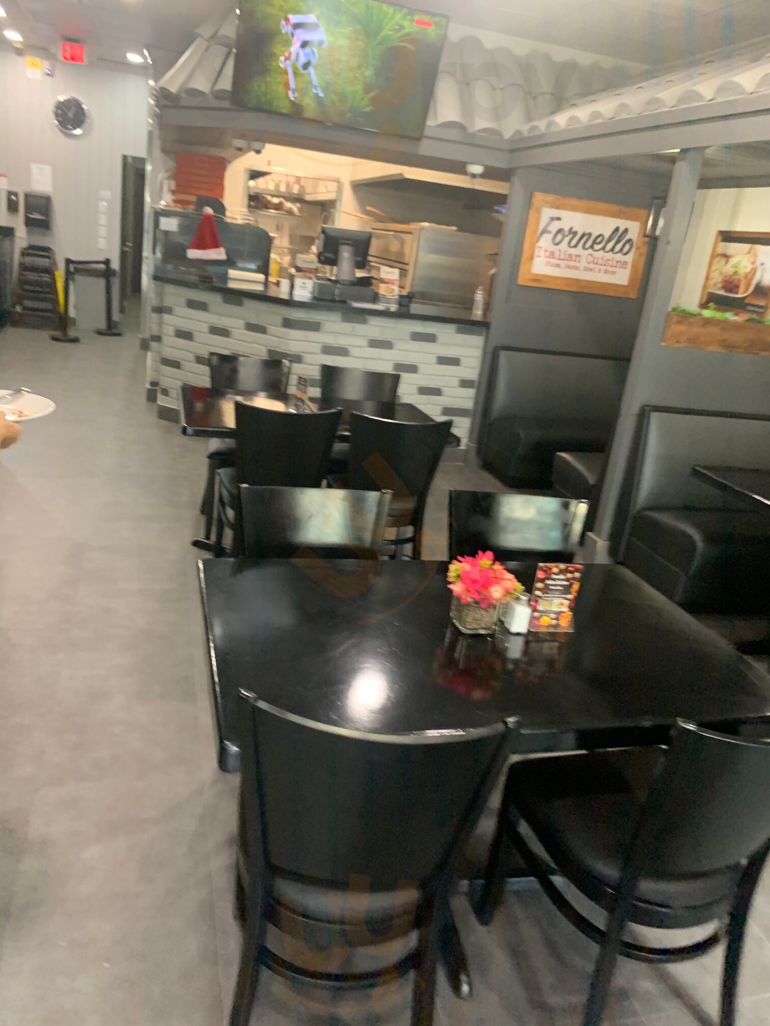 Fornello Pizza Pasta Bowl & More