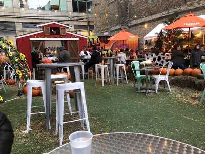 Jojo's Shake Bar - Water Tower Place