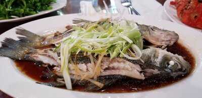 Joyful Garden Seafoods Restaurant