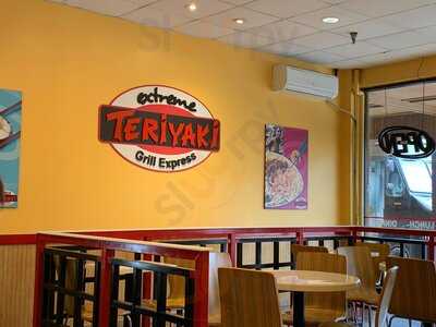 Extreme Teriyaki Express Grill
