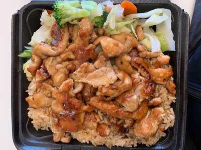 Extreme Teriyaki Express Grill