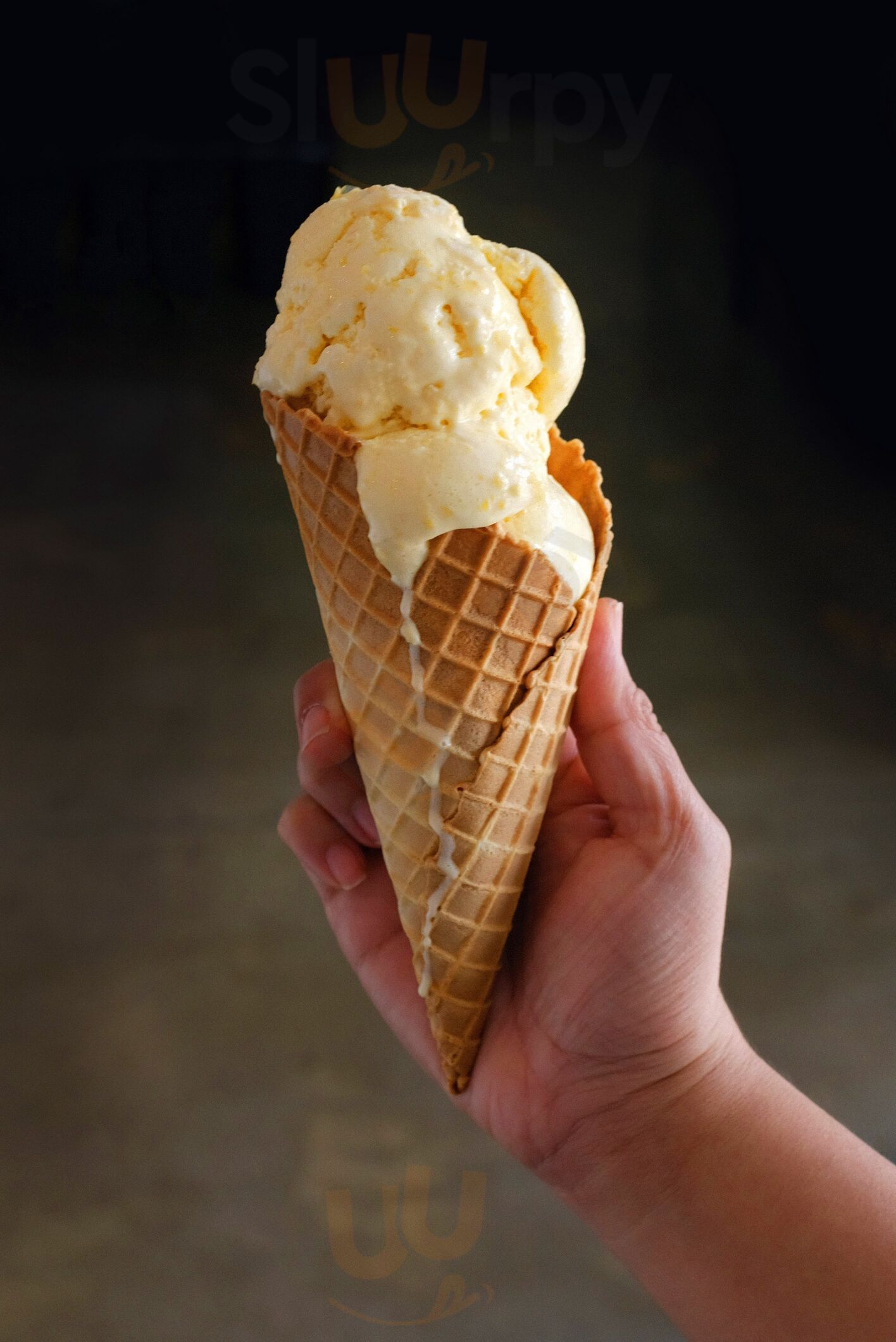 Tocumbo Ice Cream