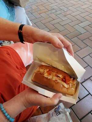 Mason's Famous Lobster Rolls