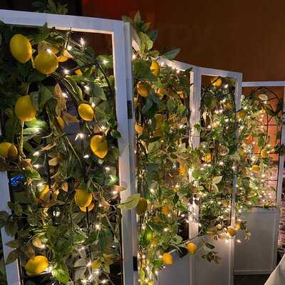 Palinuro Italian Cuisine