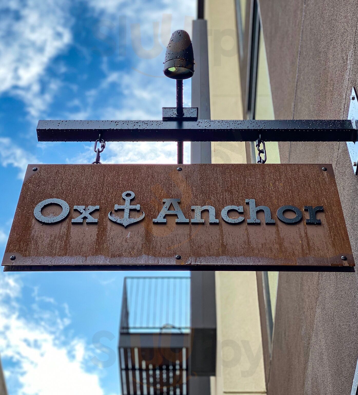 Ox + Anchor