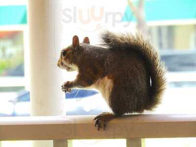 Benedict's Restaurant