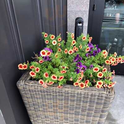 Viewhouse Colorado Springs