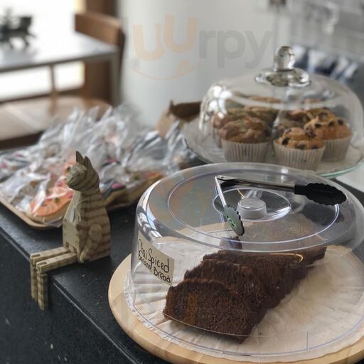 Buckminster's Cat Cafe