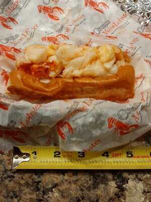 Cousins Maine Lobster