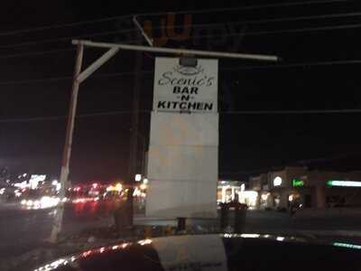 Scenic's Bar N Kitchen