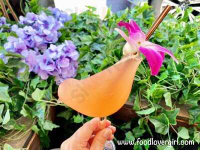 Loulou Petit Bistro & Speakeasy