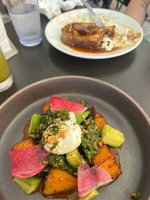 Proof Bar And Incubator