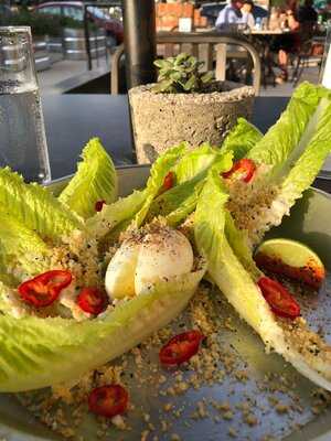 Proof Bar And Incubator