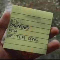 Chicago's Famous Fried Chicken