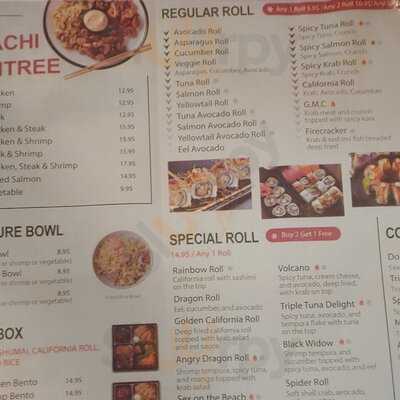 Ginza Japanese Grill